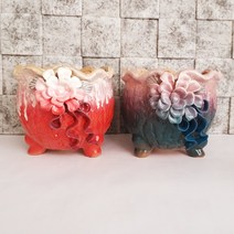 포승다육화분 261, 2종세트