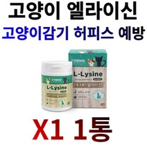 프롬 포뮬라 엘라이신