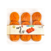 [산천농원]대봉곶감 9개(650g이상) x 2세트, 단품