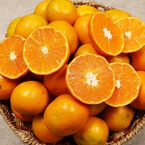 제주감귤 제주밀감 고당도 제주도 귤 5kg 10kg, 제주 감귤 소과 5kg