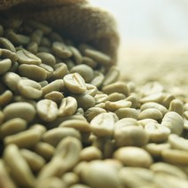 다크브릭스 인도네시아 만델링 생두 1Kg, 1개