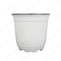 우리화훼종묘 칼라포트(모종 컵 포트) 백색포트 150