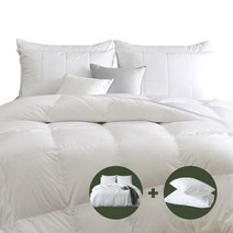[올인원 웨딩패키지] [폴란드95%] 프리미엄 구스다운세트(구스이불+베개+커버 풀세트)