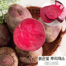 국내산 레드비트 3kg 5kg 10kg 봄 여름 8월 제철 땅속빨강채소 햇비트 생비트 3키로 5키로 10키로, 3kg(크기랜덤)