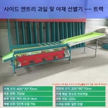 사과 선별기 과수원 감 크기 과일 감자 복숭아 분류 자동 분리 대추, 사이드 엔트리 일반 (7 트랙)