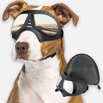 독스랩 아이세이프 강아지 선글라스 고글 UV400, 아이세이프 BASIC - L사이즈 1개, 블랙 + 실버 렌즈