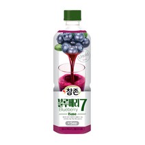 참존 과일베이스 블루베리7 835ml / 5배희석음료 뷔페음료 슬러쉬원액 칵테일시럽 과일시럽 대만빙수시럽 일본빙수시럽, 2개