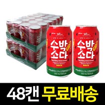 수박소다 350ml 48캔 SFC 탄산음료 주스 에이드 24캔 2박스, 24캔 X 2박스