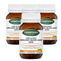 호주 톰슨 Thompsons Olive Leaf 원어데이 올리브잎 60캡슐, 4팩