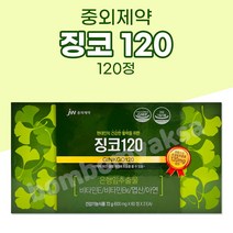 중외제약 징코120 120정 / 징코240 리뉴얼, 1개