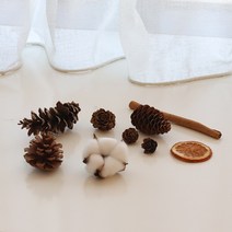 모먼트 솔방울 장식 SET