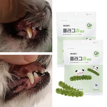 뽀시래기 플라그츄 강아지 치석제거껌 120g, 그린 관절, 2개