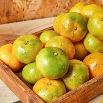 서귀포 제철 햇 감귤 4.5kg 중소과 2S-M / 2개 구매시 10kg 발송, 상세페이지 참조, 상세페이지 참조, 상세페이지 참조