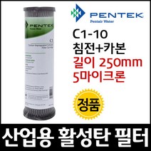 펜텍 C1-10 분말 활성탄 필터 250mm 5um, 단품