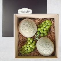 Freshvalley 924일 자정주문건까지 명절전배송산지직송 프리미엄 메론과 샤인머스켓 선물세트 5.2kg내외 (2+2) -인증