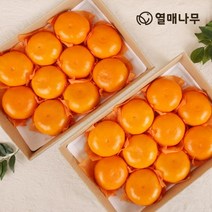 [열매나무]천혜향 3kg[10~13과] 2박스, 없음