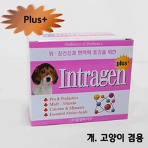 에브리데이쇼핑인트라젠 플러스(plus+) 스틱 (2gx30p) 애견장건강 고양이유산균 치와와영양제 애견영양제 애완용영양제+dpqmflepdl, 상품대박, 상품대박