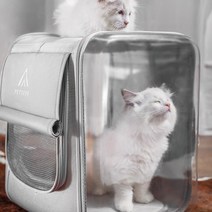 강아지 이동가방 투명네모백팩 애견백팩, 화이트 대형