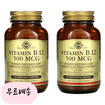 [솔가]-M2-비타민 B12 시아노코발라민 500mcg 250개입[[2통]], 2개
