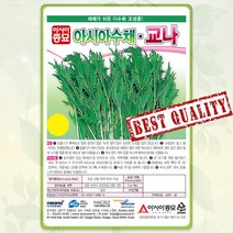수채 씨앗 2000립 경수채 교나 유럽 쌈 채소 종자 씨 봄 여름 가을 수채씨 AS