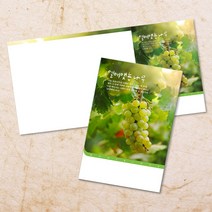 교회주보 예배 주보용지 3단6면 주보지 안내지 전도지 절기 부활절 추수감사 맥추감사 성탄절 신년감사 디자인 기독교용품, EW-47