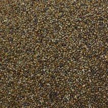 결명자 1kg 결명자차 결명차 국내산