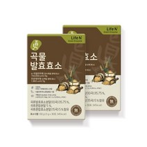 라이프엔 정제효소없는 7무첨가 진곡물발효효소 3g*30포 2박스, 단품, 단품