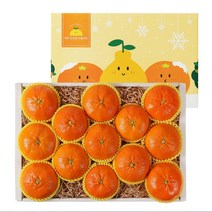 우리동네과수원 [1/18일 자정주문건까지 명절전배송] 정성가득 레드향 5kg세트(14-17과)