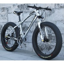 산악 MTB 자전거 광폭타이어 팻바이크 30단 자출용 자전거, 21단(공구포함), 20인치, 실버