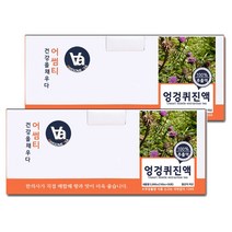 중저온추출 16시간 국산 엉겅퀴 차 즙 진액 100ml x 30포, 2박스