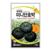 모칸도 세계종묘 단호박씨앗 꼬마킹 미니단호박 10립, 단품
