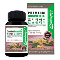 네추럴라이즈 프리미엄 보스웰리아 보스웰릭산 알약타입 추출물 분말 인도산 유황나무수액 관절, 60정, 2병