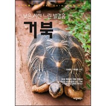 낮은 시선 느린 발걸음 거북 수생 육지거북 키우는 방법 사육정보