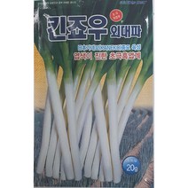 킨죠우외대파 씨앗/엽색이 진한 초극흑엽계//가람종묘사