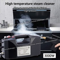 220V 3000W 고압 증기 청소기 펌핑 살균 증기 발생기 스팀청소기, black