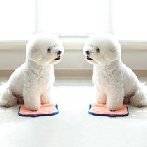 플레이바우 피치 강아지 타올
