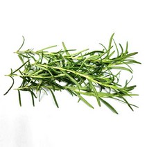 로즈마리 50g