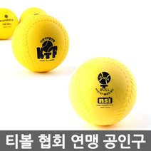 티볼연맹 티볼협회 티볼공 공인구 안전공 소프트볼 공