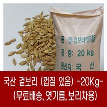 [다온농산] 2023년산 국산 겉보리 -20Kg- 보리차 엿기름등