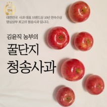 청송사과 꿀사과 부사 사과 5kg 10kg 10키로, 10kg / 특대과/30-32과