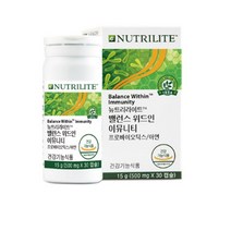 암웨이 밸런스위드인 이뮤니티/프로바이오틱스/유산균, 15g, 1개