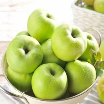 기타 [자연품애]가정용 아오리사과 10kg 꼬마소과, [단일상품]