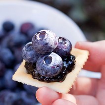 수제블루베리잼 국산 블루베리 75% 콩포트 임실, 블루베리잼 600g, 1개, 600g