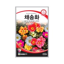 모칸도 (무배)세계 채송화 꽃씨 (2000립)