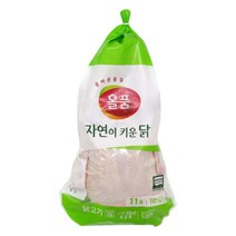 올품 냉장 무항생제 육계 통닭 11호 백숙용 생닭, 무항생제 육계통닭(생닭)11호