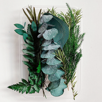 드그라쎄 드라이플라워 모음 박스, 그린리프