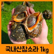 맛있는 자연산 참소라 1kg 소라/참소라/자연산참소라/해산물/싱싱한해산물/소라요리/소라회, 단일 수량