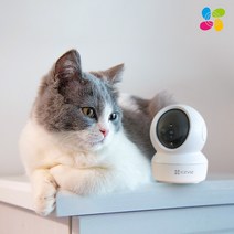이지비즈 C6N 4MP 360도 스마트 홈캠 CCTV (400만 화소)