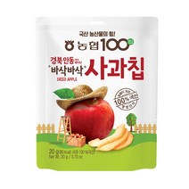 농협아름찬 사과칩 200g (20g x 10ea)