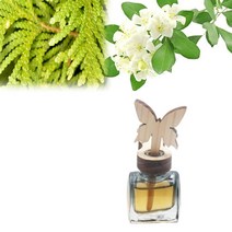 [에코숲라이프] 편백나무 차량용 디퓨져 방향제세트(나비), |스타일:방향제세트(나비)